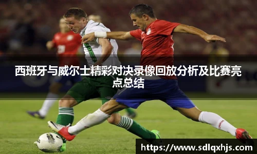 西班牙与威尔士精彩对决录像回放分析及比赛亮点总结